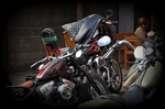 1-DSC_7516.jpg